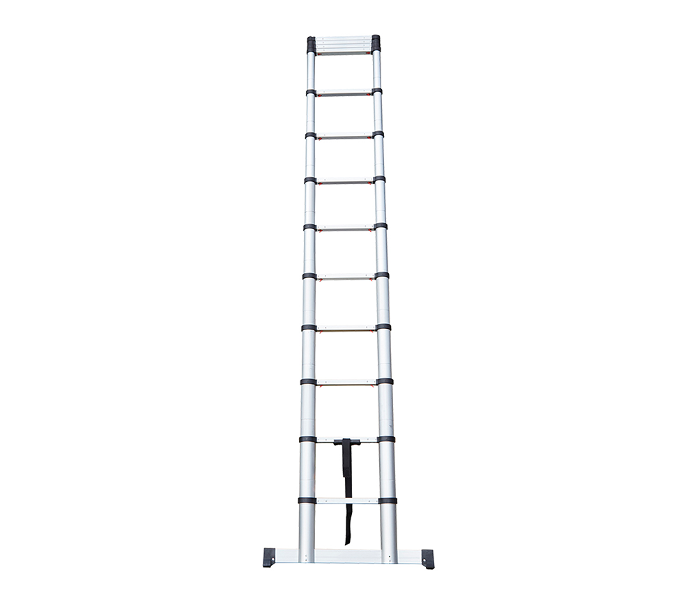 Product Click n Climb Pro Ladder Extended